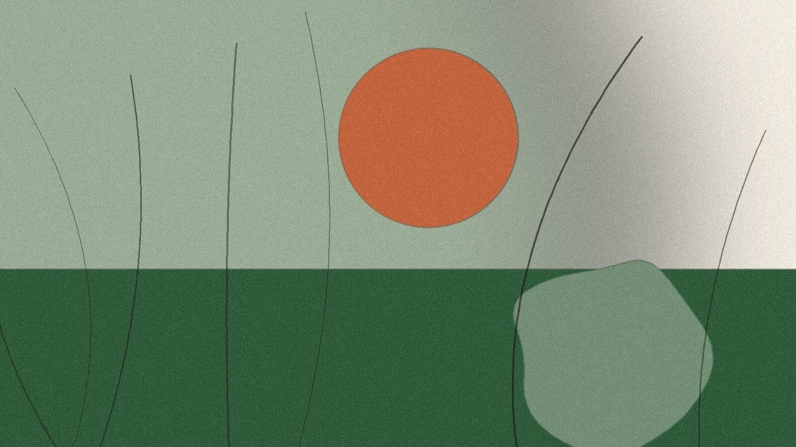 Illustration til artiklen: Fermenterede grøntsager: guide til sauerkraut og kimchi