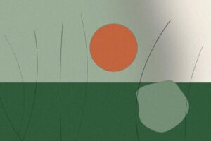 Illustration til artiklen: Fermenterede grøntsager: guide til sauerkraut og kimchi