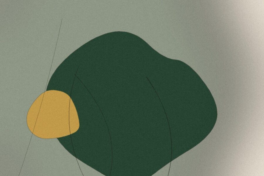 Illustration til artiklen: Ingefærshot: opskrift og hvad det egentlig gør