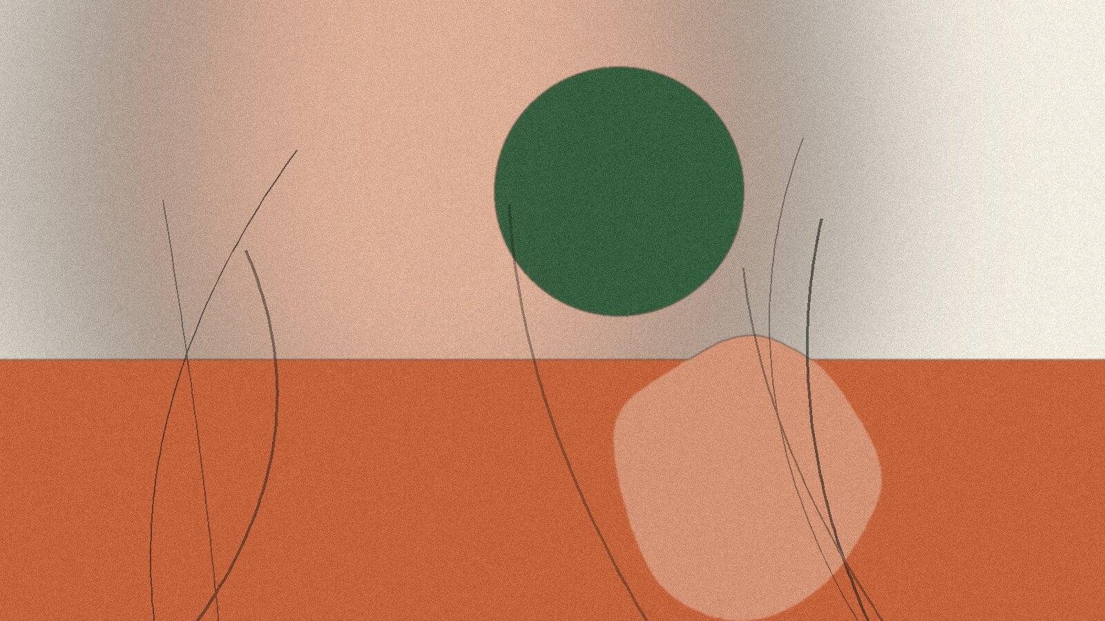 Illustration til artiklen: Kokosolie til huden: fordele, ulemper og alternativer