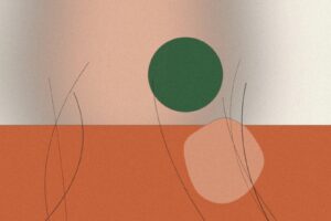 Illustration til artiklen: Kokosolie til huden: fordele, ulemper og alternativer