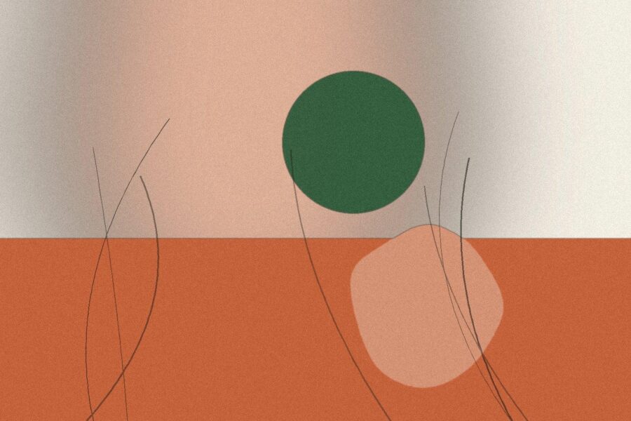 Illustration til artiklen: Kokosolie til huden: fordele, ulemper og alternativer