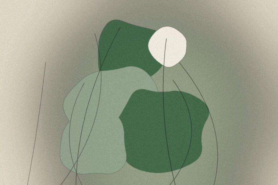 Illustration til artiklen: Kompost i haven: kom i gang på fem trin