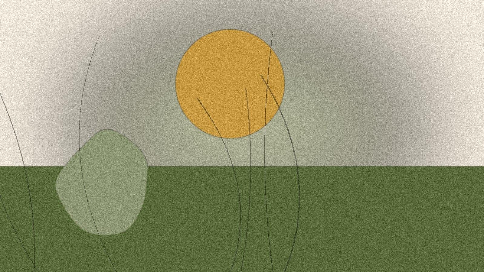 Illustration til artiklen: Luftrensende planter: de bedste til hvert rum