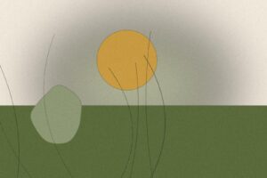 Illustration til artiklen: Luftrensende planter: de bedste til hvert rum