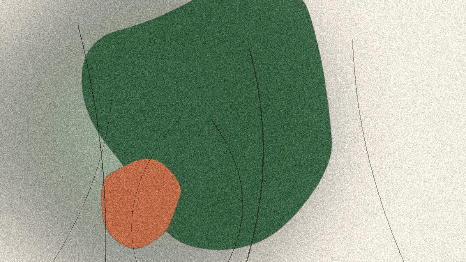 Illustration til artiklen: Naturlig hudpleje: enkel rutine, der virker
