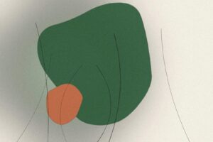 Illustration til artiklen: Naturlig hudpleje: enkel rutine, der virker