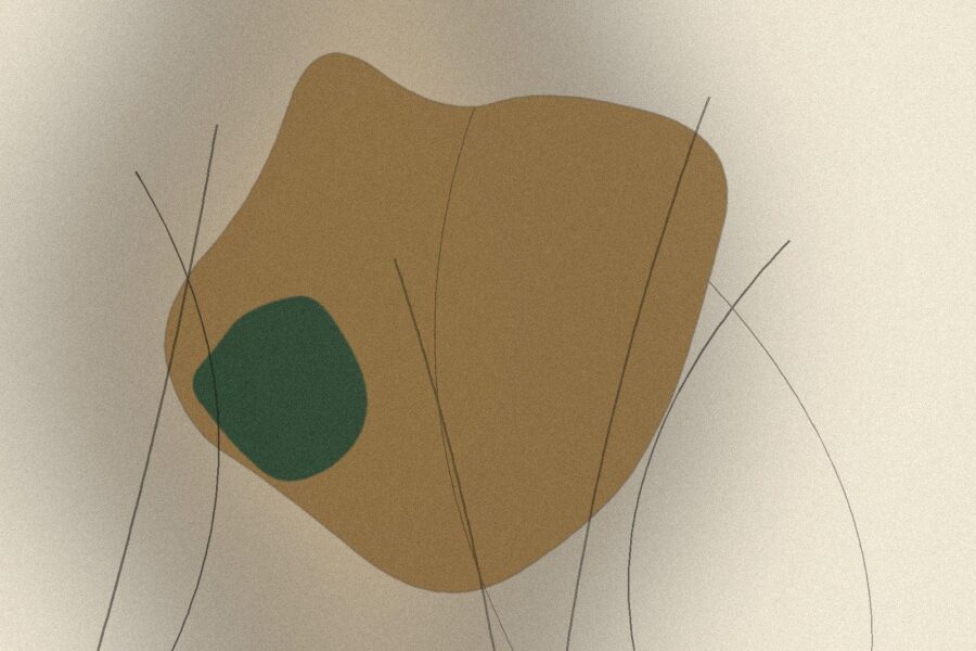 Illustration til artiklen: Rengøring med eddike: 12 steder, hvor det virker
